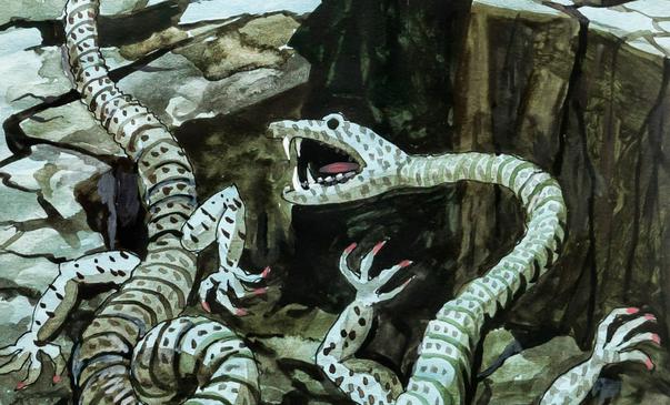 Кашкадарьинский бестиарий